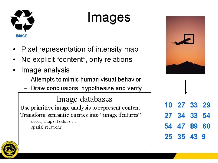 T DO SE BA CU TA ME N DA Images IMAGE • Pixel representation