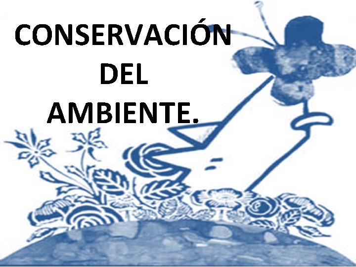 CONSERVACIÓN DEL AMBIENTE. 