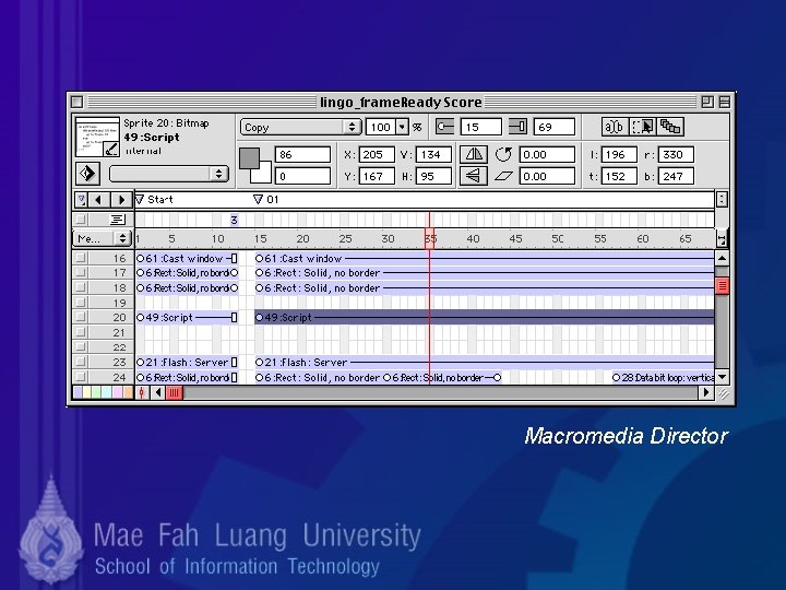 Macromedia Director 