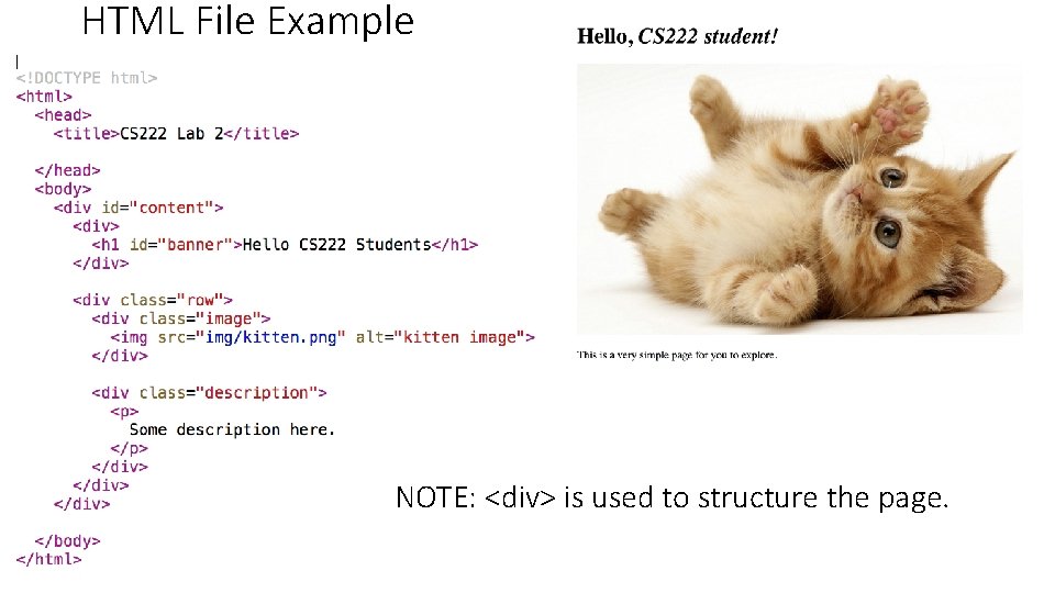 HTML File Example NOTE: <div> is used to structure the page. 
