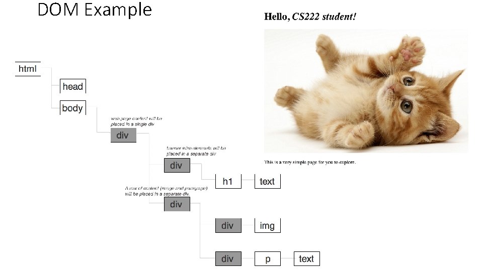DOM Example 