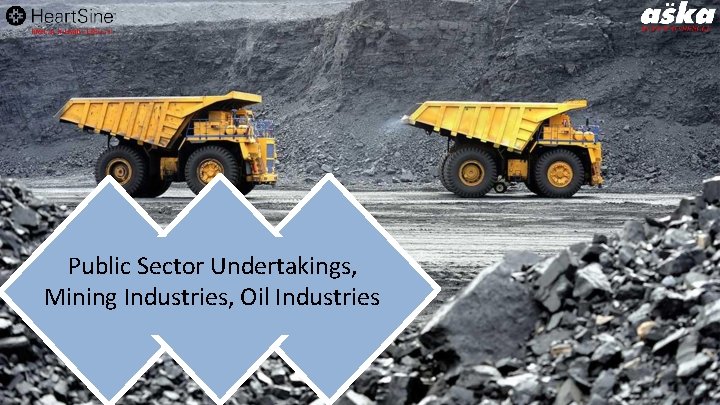 Public Sector Undertakings, Mining Industries, Oil Industries 