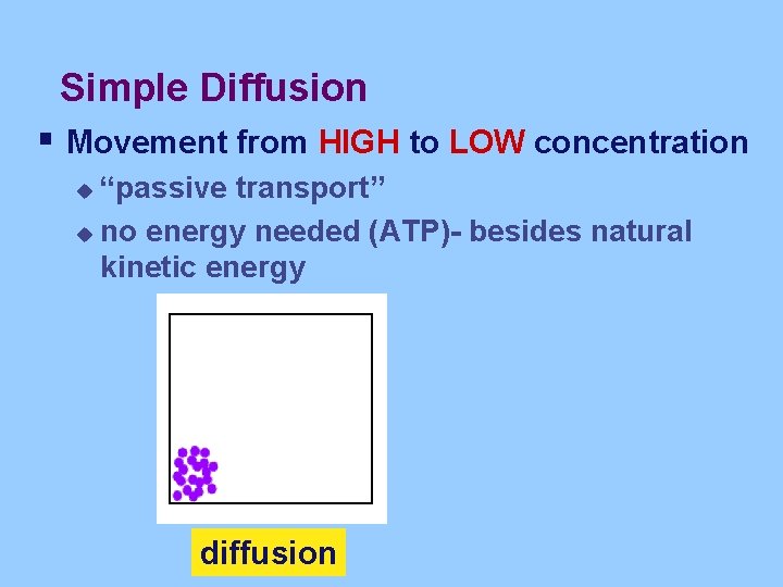 Simple Diffusion § Movement from HIGH to LOW concentration “passive transport” u no energy
