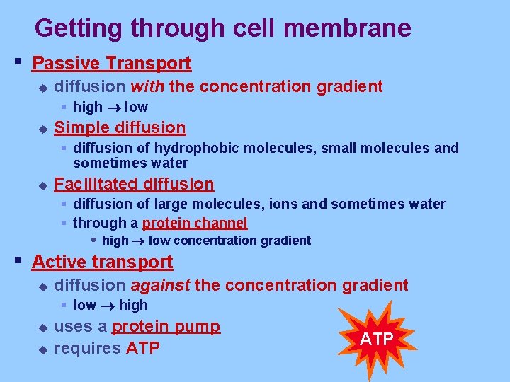 Getting through cell membrane § Passive Transport u diffusion with the concentration gradient §