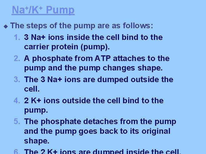 Na+/K+ Pump u The steps of the pump are as follows: 1. 3 Na+