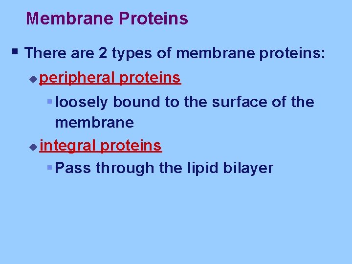 Membrane Proteins § There are 2 types of membrane proteins: u peripheral proteins §