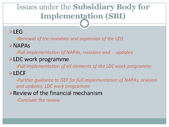 Issues under the Subsidiary Body for Implementation (SBI) ØLEG Renewal ØNAPAs of the mandate