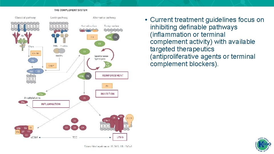  • Current treatment guidelines focus on inhibiting deﬁnable pathways (inﬂammation or terminal complement