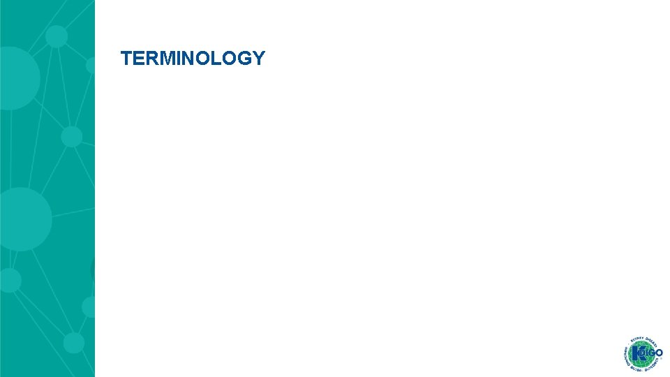 TERMINOLOGY 
