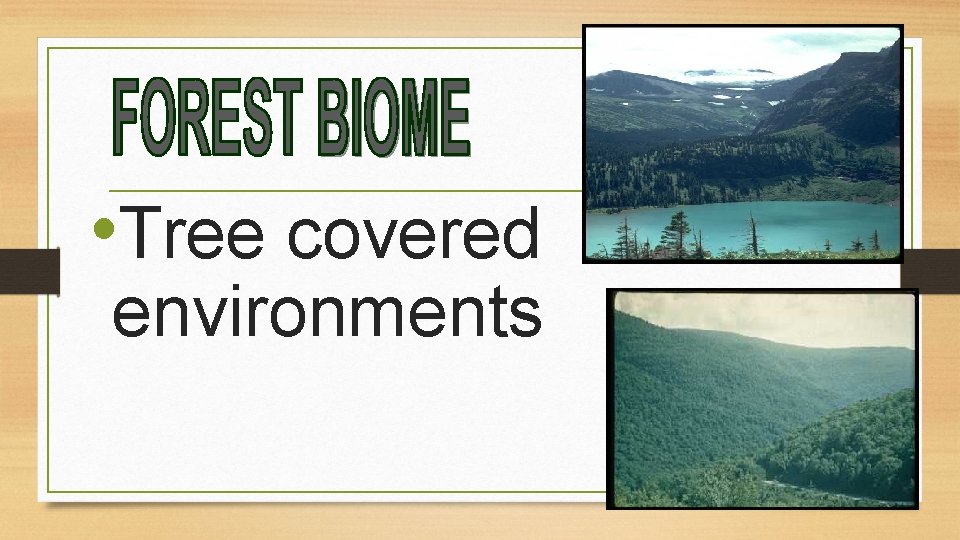  • Tree covered environments 3 