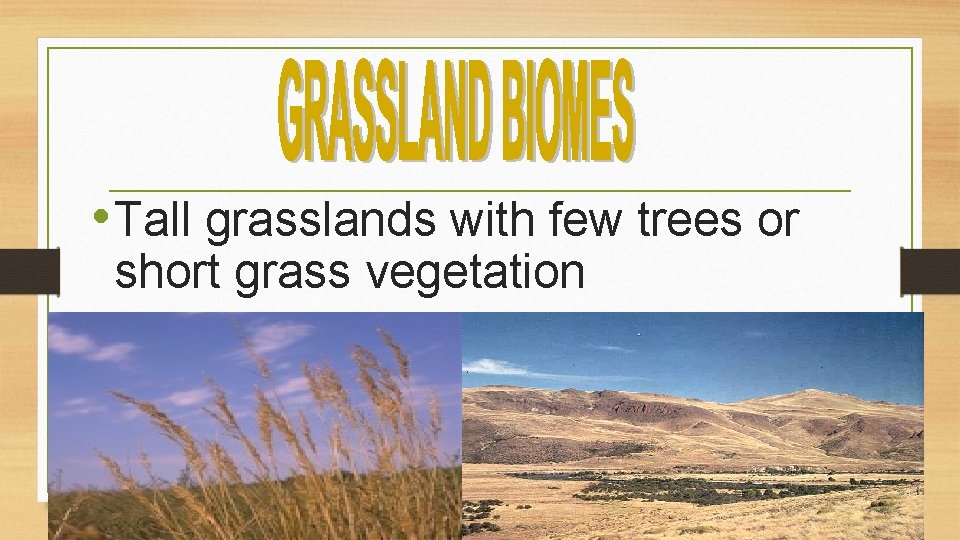  • Tall grasslands with few trees or short grass vegetation 5 