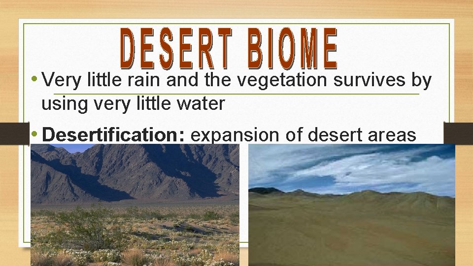  • Very little rain and the vegetation survives by using very little water