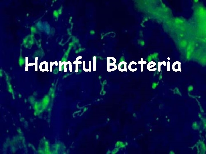 Harmful Bacteria 