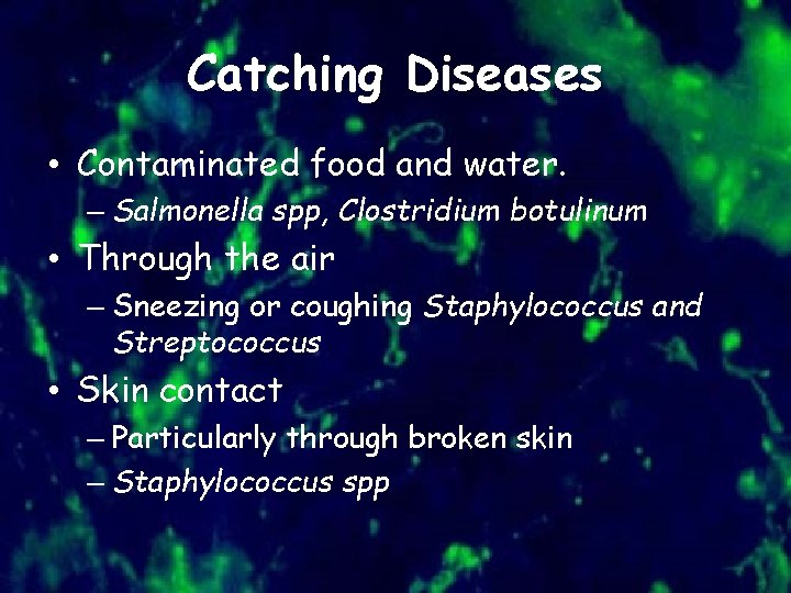 Catching Diseases • Contaminated food and water. – Salmonella spp, Clostridium botulinum • Through
