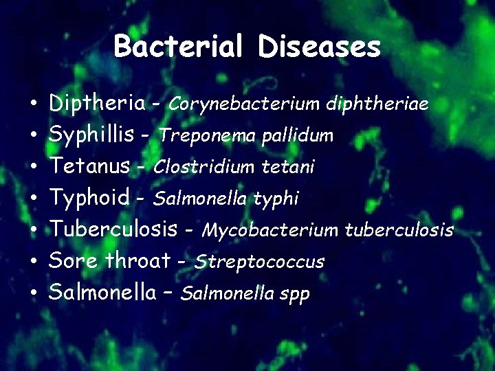 Bacterial Diseases • • Diptheria - Corynebacterium diphtheriae Syphillis - Treponema pallidum Tetanus -