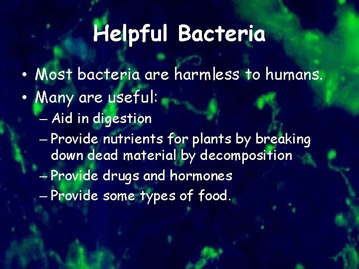 Helpful Bacteria • Most bacteria are harmless to humans. • Many are useful: –