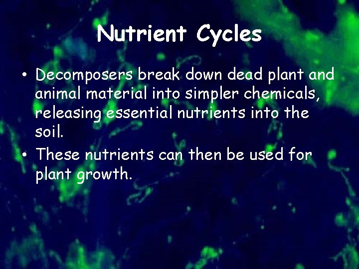 Nutrient Cycles • Decomposers break down dead plant and animal material into simpler chemicals,