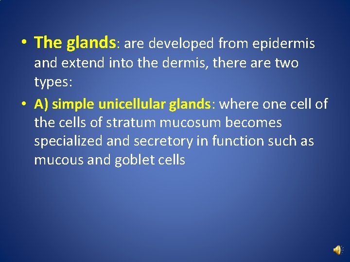  • The glands: are developed from epidermis and extend into the dermis, there