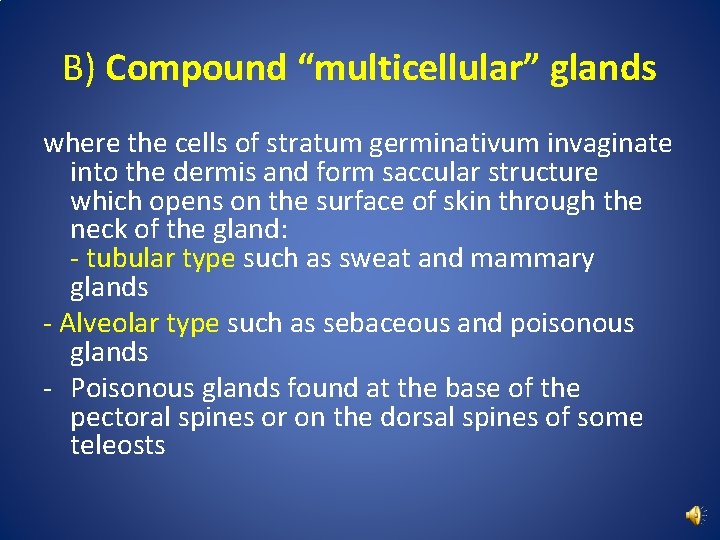 B) Compound “multicellular” glands where the cells of stratum germinativum invaginate into the dermis