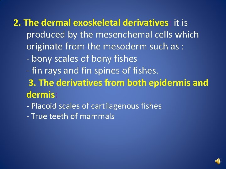 2. The dermal exoskeletal derivatives: it is produced by the mesenchemal cells which originate