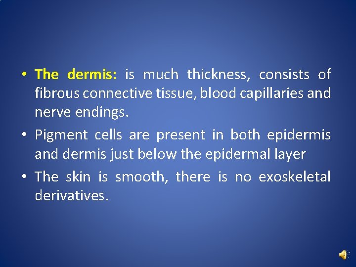  • The dermis: is much thickness, consists of fibrous connective tissue, blood capillaries