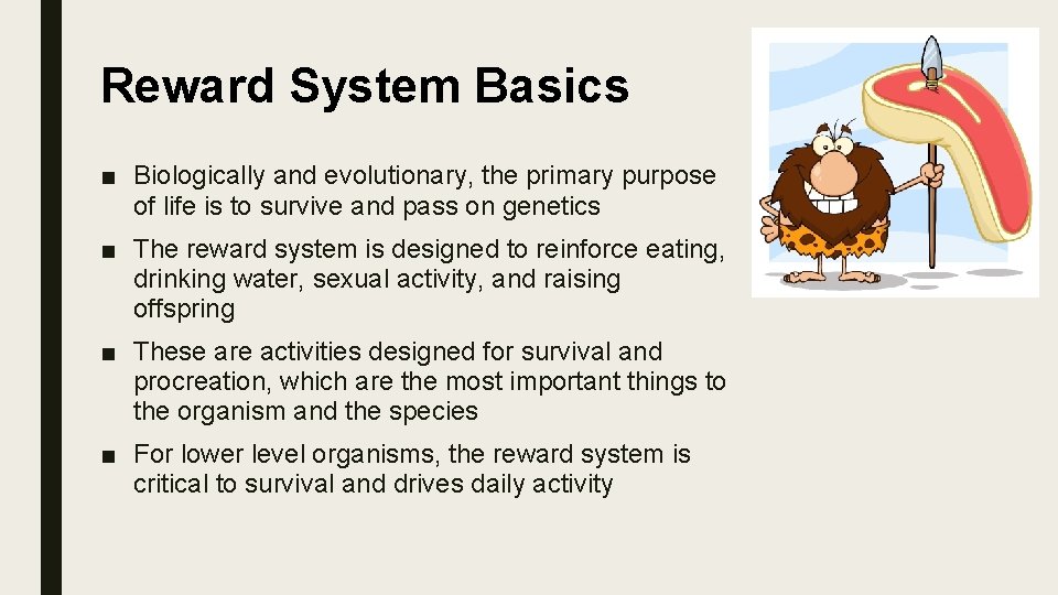 Reward System Basics ■ Biologically and evolutionary, the primary purpose of life is to