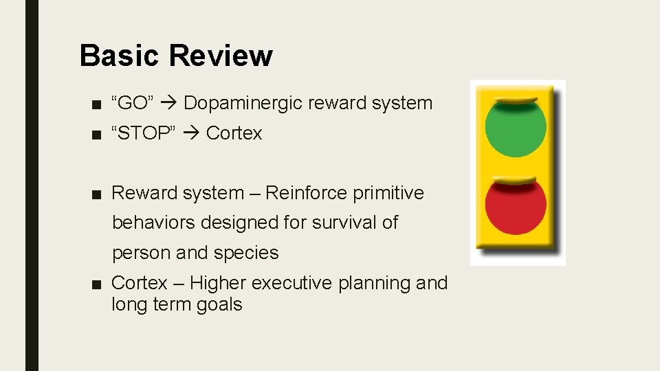 Basic Review ■ “GO” Dopaminergic reward system ■ “STOP” Cortex ■ Reward system –