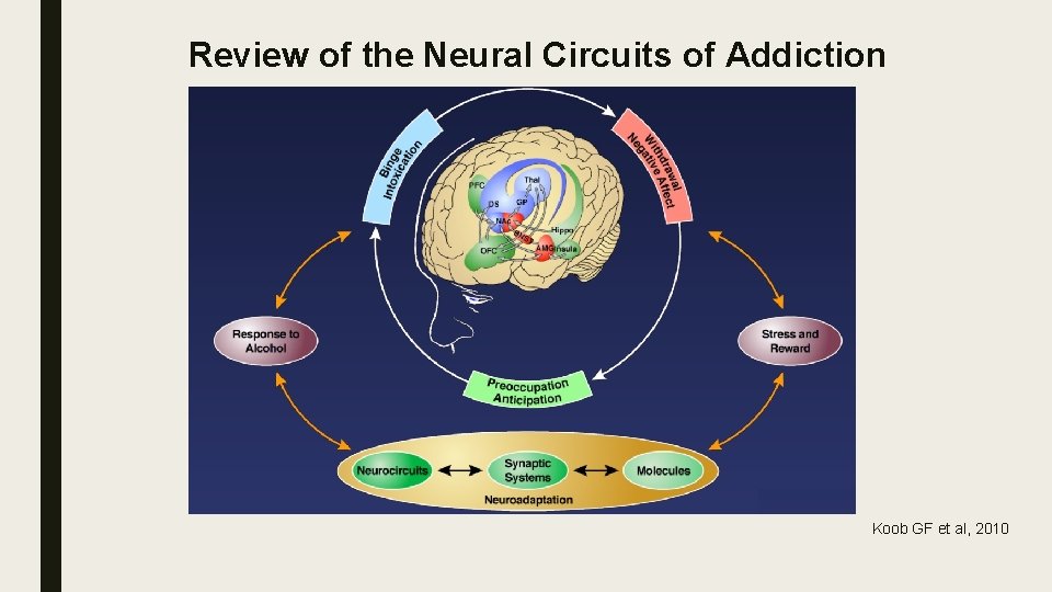 Review of the Neural Circuits of Addiction Koob GF et al, 2010 