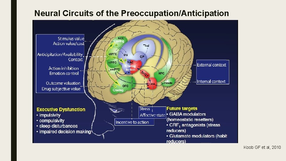 Neural Circuits of the Preoccupation/Anticipation “Craving” Stage Koob GF et al, 2010 
