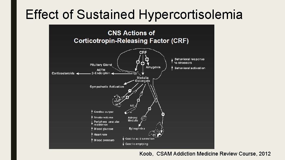 Effect of Sustained Hypercortisolemia Koob, CSAM Addiction Medicine Review Course, 2012 