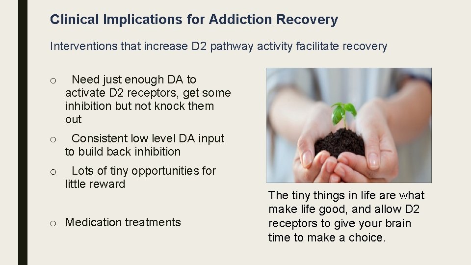 Clinical Implications for Addiction Recovery Interventions that increase D 2 pathway activity facilitate recovery