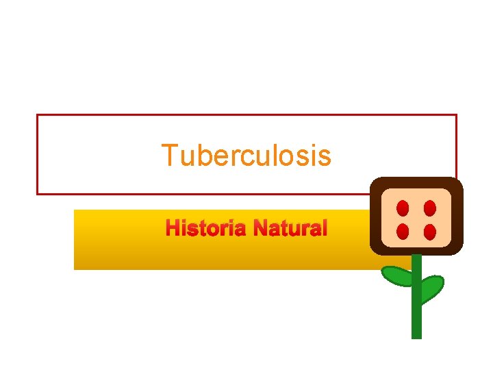Tuberculosis Historia Natural 