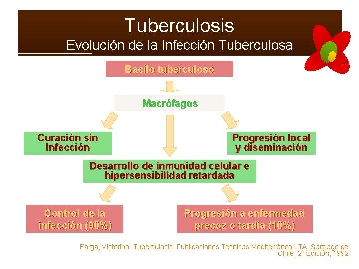 Tuberculosis Evolución de la Infección Tuberculosa Bacilo tuberculoso Macrófagos Curación sin Infección Progresión local