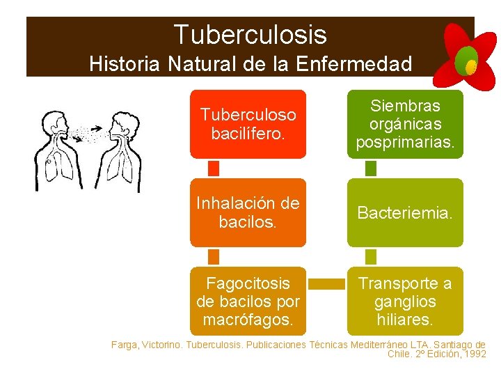 Tuberculosis Historia Natural de la Enfermedad Tuberculoso bacilífero. Siembras orgánicas posprimarias. Inhalación de bacilos.