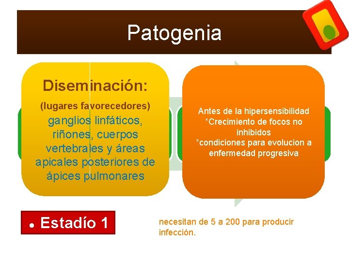 Patogenia Diseminación: (lugares favorecedores) Inhalacion-MFganglios linfáticos, activacion por Fagocitosismultiplicacion y particulas de riñones, cuerpos