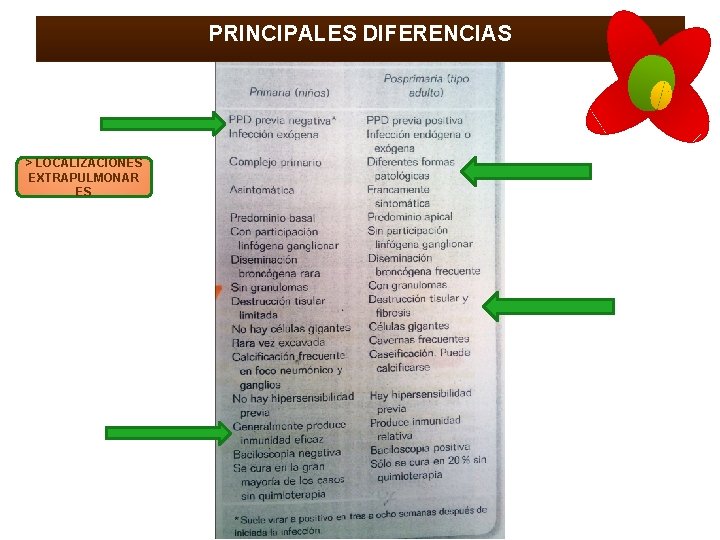 PRINCIPALES DIFERENCIAS > LOCALIZACIONES EXTRAPULMONAR ES 