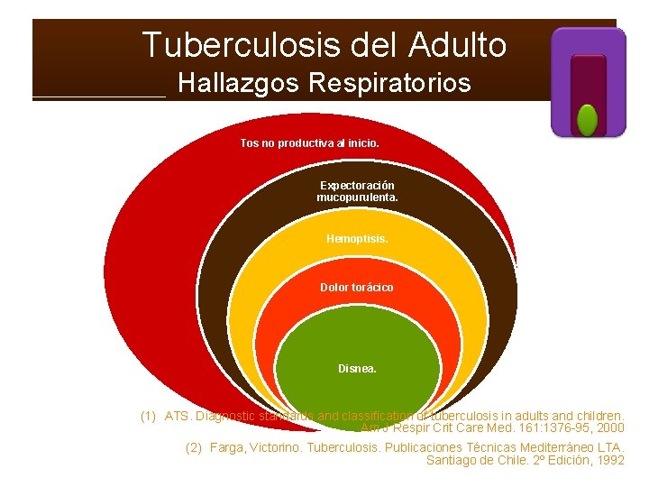 Tuberculosis del Adulto Hallazgos Respiratorios Tos no productiva al inicio. Expectoración mucopurulenta. Hemoptisis. Dolor