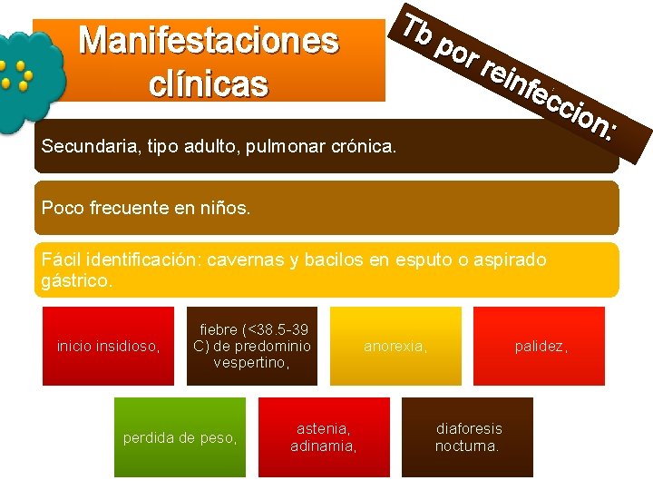 Tb po Manifestaciones r re infe clínicas cci on : Secundaria, tipo adulto, pulmonar