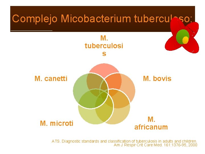 Complejo Micobacterium tuberculoso: M. tuberculosi s M. canetti M. microti M. bovis M. africanum