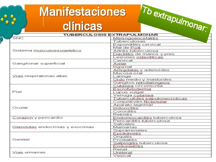 Manifestaciones clínicas Tb e x trap u lmon ar: 