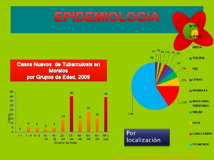 EPIDEMIOLOGÍA Casos Nuevos de Tuberculosis en Morelos por Grupos de Edad, 2009 45 40