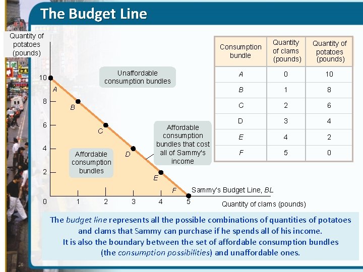 The Budget Line Quantity of potatoes (pounds) Unaffordable consumption bundles 10 A 8 B