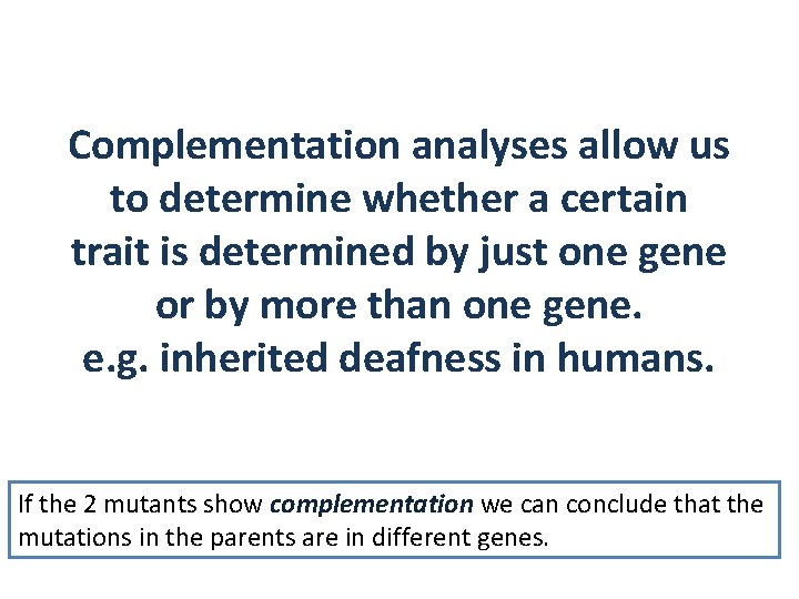 Complementation analyses allow us to determine whether a certain trait is determined by just