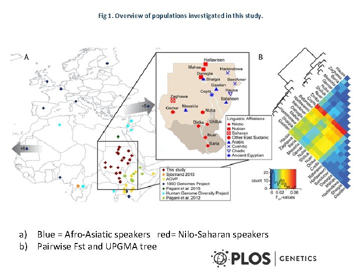 Fig 1. Overview of populations investigated in this study. a) Blue = Afro-Asiatic speakers
