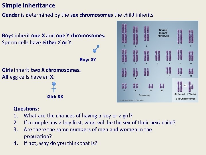 Simple inheritance Gender is determined by the sex chromosomes the child inherits Boys inherit