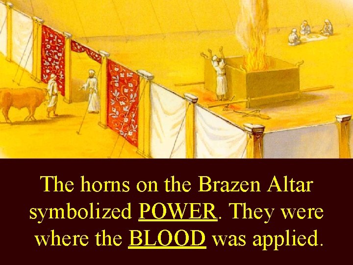 The horns on the Brazen Altar symbolized POWER. They were where the BLOOD was