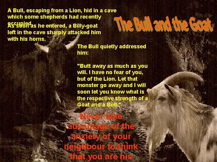A Bull, escaping from a Lion, hid in a cave which some shepherds had