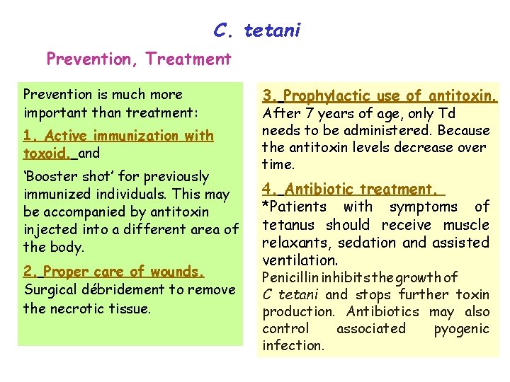C. tetani Prevention, Treatment Prevention is much more important than treatment: 1. Active immunization