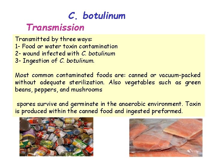 C. botulinum Transmission Transmitted by three ways: 1 - Food or water toxin contamination