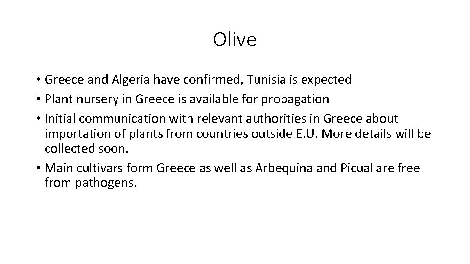 Olive • Greece and Algeria have confirmed, Tunisia is expected • Plant nursery in
